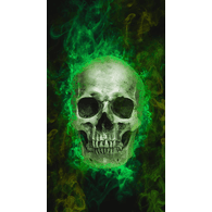 PRG9 emblem