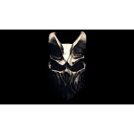 CS666 emblem