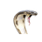 CKING emblem