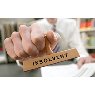 INSI emblem