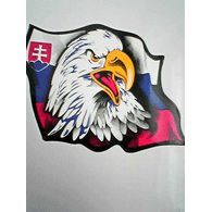 T_K_S emblem