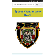 S_C_A emblem