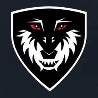 SSBG emblem
