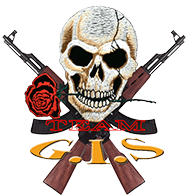 G-I-S emblem