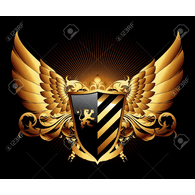 D_F_S emblem