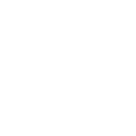 230 emblem