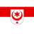 SAALE emblem