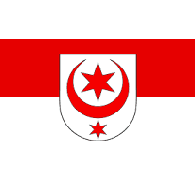 SAALE emblem