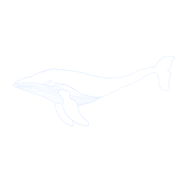SLRS emblem