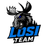 L0SI emblem