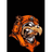 RFP emblem