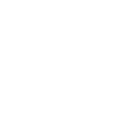 DRA-F emblem