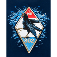D-302 emblem