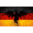 -FVN- emblem