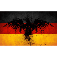 -FVN- emblem
