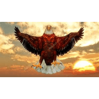 X1X1 emblem