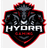 H_YD emblem