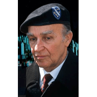 MEV emblem