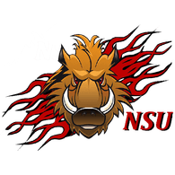 N_S_U emblem
