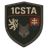 1CSTA emblem