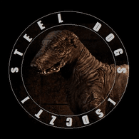 SDCZT emblem