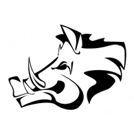 PDZHS emblem
