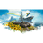 17OBM emblem