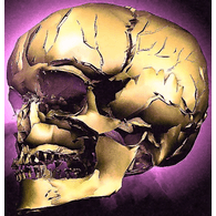 CEGP emblem