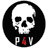 P4V emblem