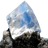 SAHAR emblem