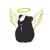 CAVIA emblem