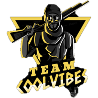 VIB3S emblem