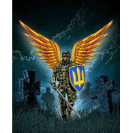 FR-FI emblem