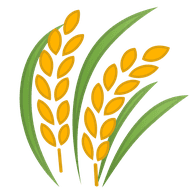 DEBRO emblem