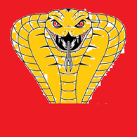 SOAR emblem