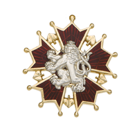 N_A_W emblem