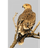NML emblem
