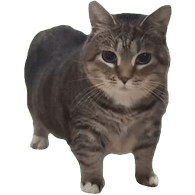 OIIAI emblem