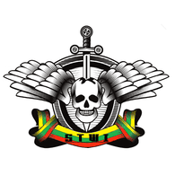 STWI emblem