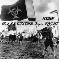 NDSF emblem