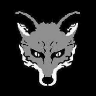 DSFG emblem
