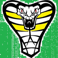 1-KFA emblem