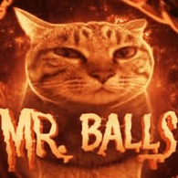 BAIIS emblem
