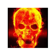 CZVPI emblem