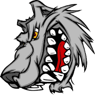 W-I-S emblem