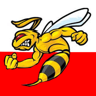 4-P-S emblem