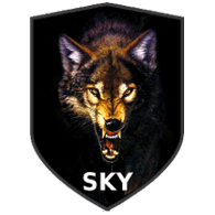 -2SK- emblem