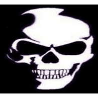 T-H-S emblem