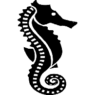 CS0NT emblem