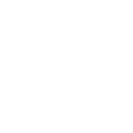 UA-8 emblem
